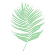 Palm Leaf Design 164 Poster