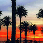 Palm Sunset - No. 3 Poster