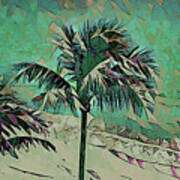 Palm Trees 629 Poster