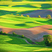 Palouse Fields Poster