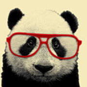 Panda Bear With Red Glasses Poster