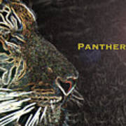 Panthera Tigris Poster