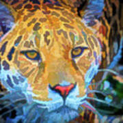 Panthera Pardus Poster