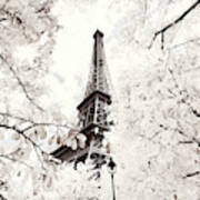 Paris Winter White Collection - Between Two Trees Poster