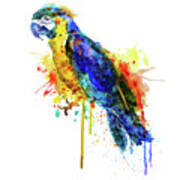 Parrot Watercolor Poster