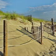 Path To Mayflower Beach, Dennis, Cape Cod, Ma Poster