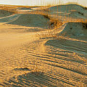 Patterns In Sand Dunes On The Obx Poster
