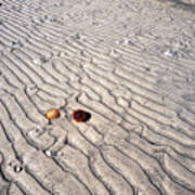 Patterns On The Beach, Tide Ripples Poster