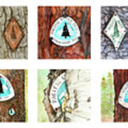 Pct Trail Blaze Collection Poster