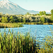 Peaceful Colorado Landscape Poster