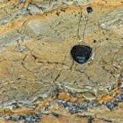 Pebble On Rock, Batemans Bay - Australia Poster