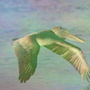 Pelican In Flight 7 Poster