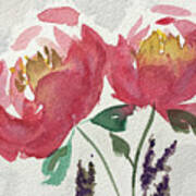 Peonies And Lavender Poster