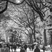 People Walking In A Park, Central Park Mall, Central Park, Manhattan, New York City, New York State, Poster