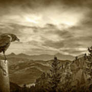 Perched Black Crow In Yellowstone National Park At Sunset In Sep Poster