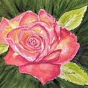 Perfect Moment Rose - Watercolor Poster