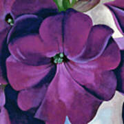 Petunias - Modernist Purple Flower Painting Poster
