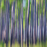 Pine Savana Abstract - Croatan National Forest Poster