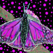 Pink Butterfly Poster