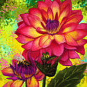 Pink Dahlia Flowers Poster