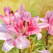 Pink Lilies Poster