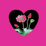 Pink Lotus Flower Heart Watercolor Art Poster