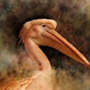 Pink Pelican Bird 81 Poster