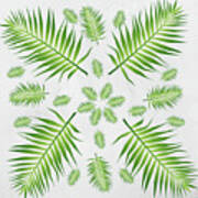 Plethora Of Palm Leaves 21 On A White Textured Background Poster