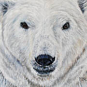 Polar Bear - Churchill Poster