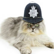 Police Cat Poster