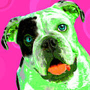 Popart Bulldog Puppy Poster