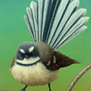 Portrait Of A New Zealand Fantail Poster