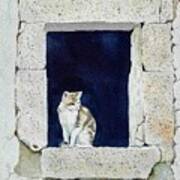 Portuguese Cat Poster
