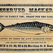 Preserved Mackerel Poster