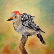 Pretty Woodpecker Poster