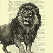 Proud Lion Poster