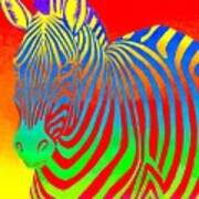 Psychedelic Rainbow Zebra Poster
