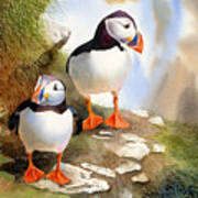Puffins Poster