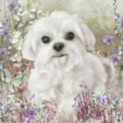 Puppy In The Garden In Pinks Poster