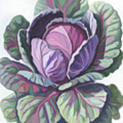 Purple Cabbage Painting Poster