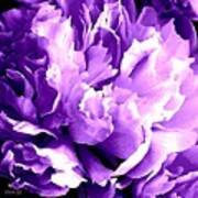 Purple Peony Party Poster