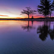 Purple Ripples Poster