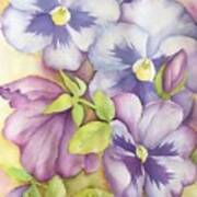 Purple Summer Pansies Poster