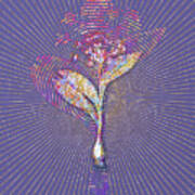 Pygmy Hyacinth Mosaic Botanical Art On Veri Peri N.0321 Poster