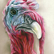 Quirky Turkey Gobbler Portrait Poster
