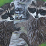 Racoon Buddies Poster