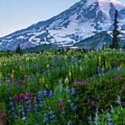 Rainier Wildflowers Meadows Panorama Poster