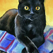 Ralph Black Cat Painting Poster
