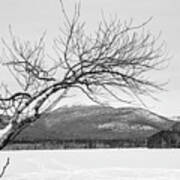 Reaching For The Mountains New Hampshire White Mountains Black And White Poster
