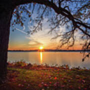 Reaching Out  - Oak Tree Reaching Over Lake Waubesa In Autumn Sunset Poster